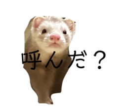 645409801