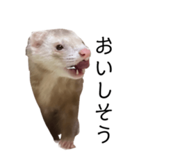 645409803