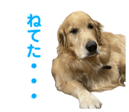 645428017