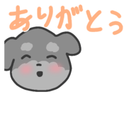 645430897