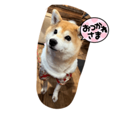645431458