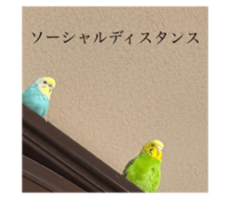 645435967