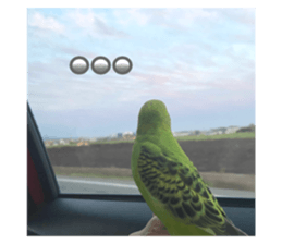 645435968