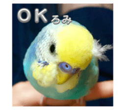 645435970