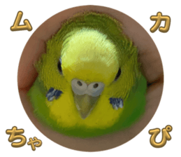 645435972