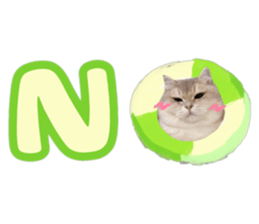 645436911