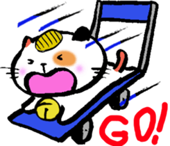 6454406