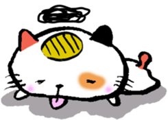 6454428