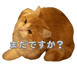 645457078