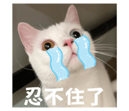 645466599