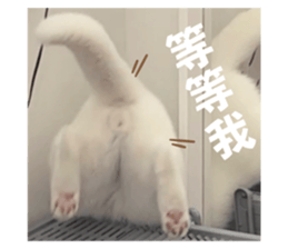 645466601