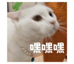 645466613