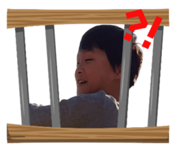 645467113