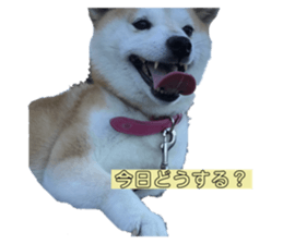 645488463