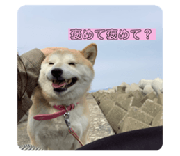 645488464