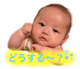 645493352
