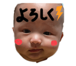 645493356