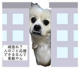 645506686