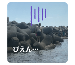 645523929