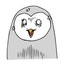 6455425