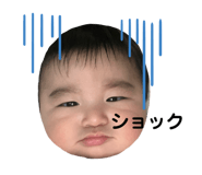 645573713