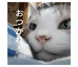645586539
