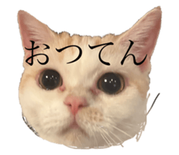 645594255