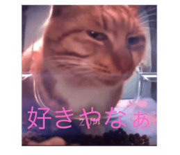 645616998