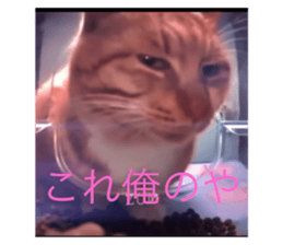 645617004