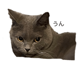 645620096
