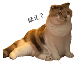 645620107