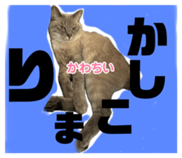 645622775