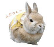 645625625
