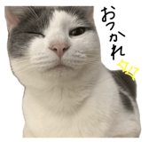645627934