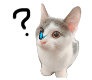 645627935