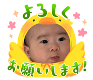 645628396
