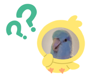 645628794