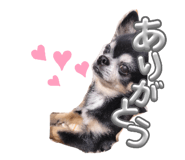 645633814