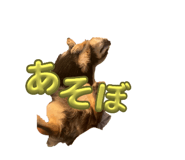 645633815