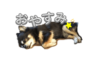 645633816