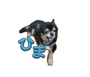 645633817