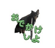 645633819