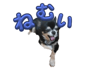 645633820