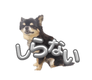 645633821