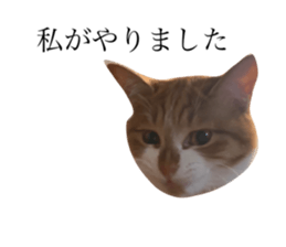 645633955