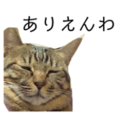 645633956