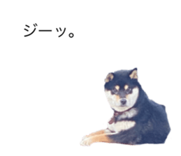 645638246