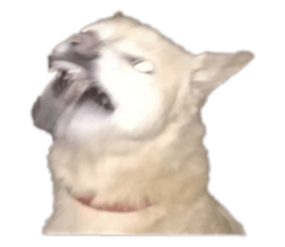 645642192