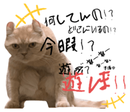 645642649