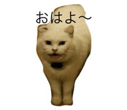 645643486
